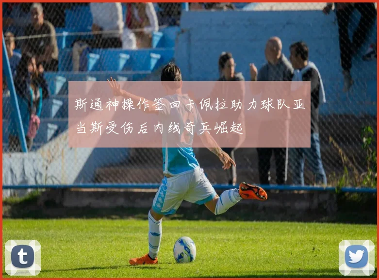 斯通神操作签回卡佩拉助力球队亚当斯受伤后内线奇兵崛起